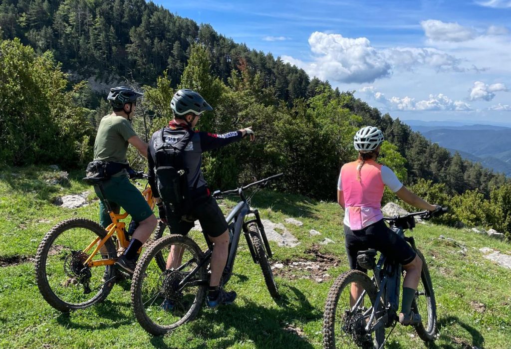 WhatsApp Image 2023-07-03 at 15.15.05